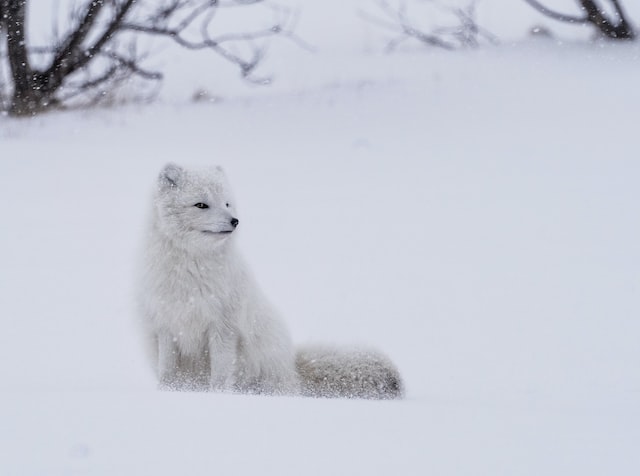 Inverno: come viverlo in armonia con la natura